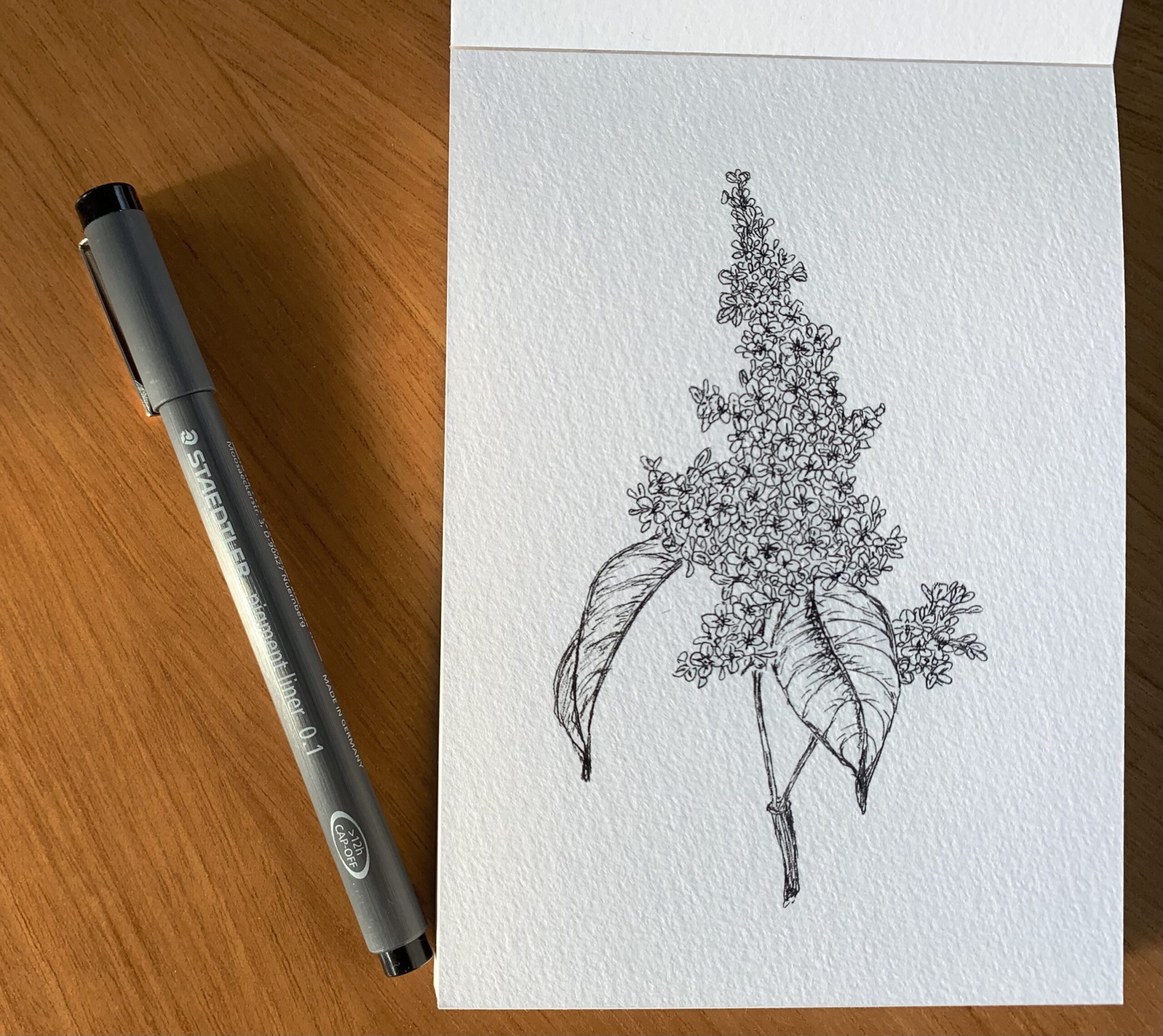 Read more about the article Fingerübungen